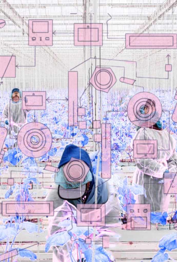 Bild zeigt Artwork zum Vortrag Food Thinking