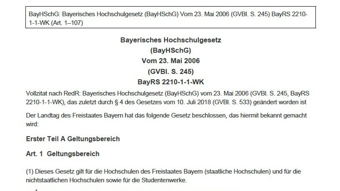 Bayrisches Hochschulgesetz (2006)