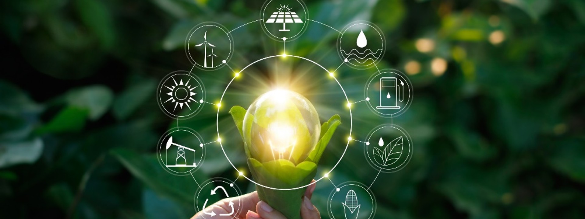 Ökologie-Konzept. Hand halten Glühbirne gegen die Natur auf grünem Blatt mit Ikonen Energiequellen für erneuerbare, nachhaltige Entwicklung, Energie sparen.