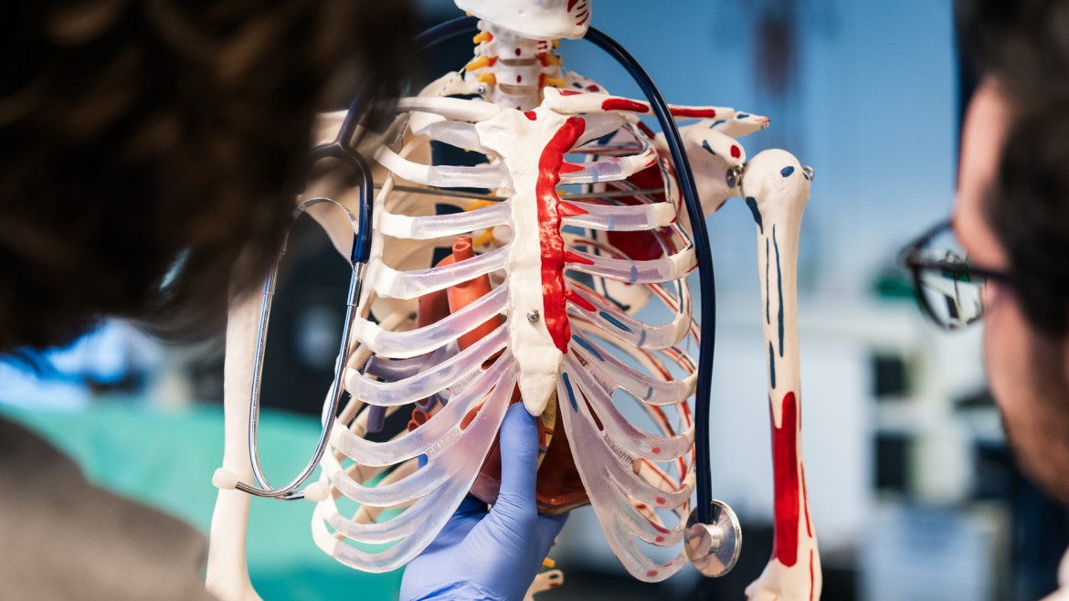 Ein Modell im Studiengang angewandte Pflegewissenschaft